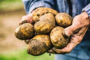 Narcissist Killer Who Butchered Sophie Elliott Faces First Parole